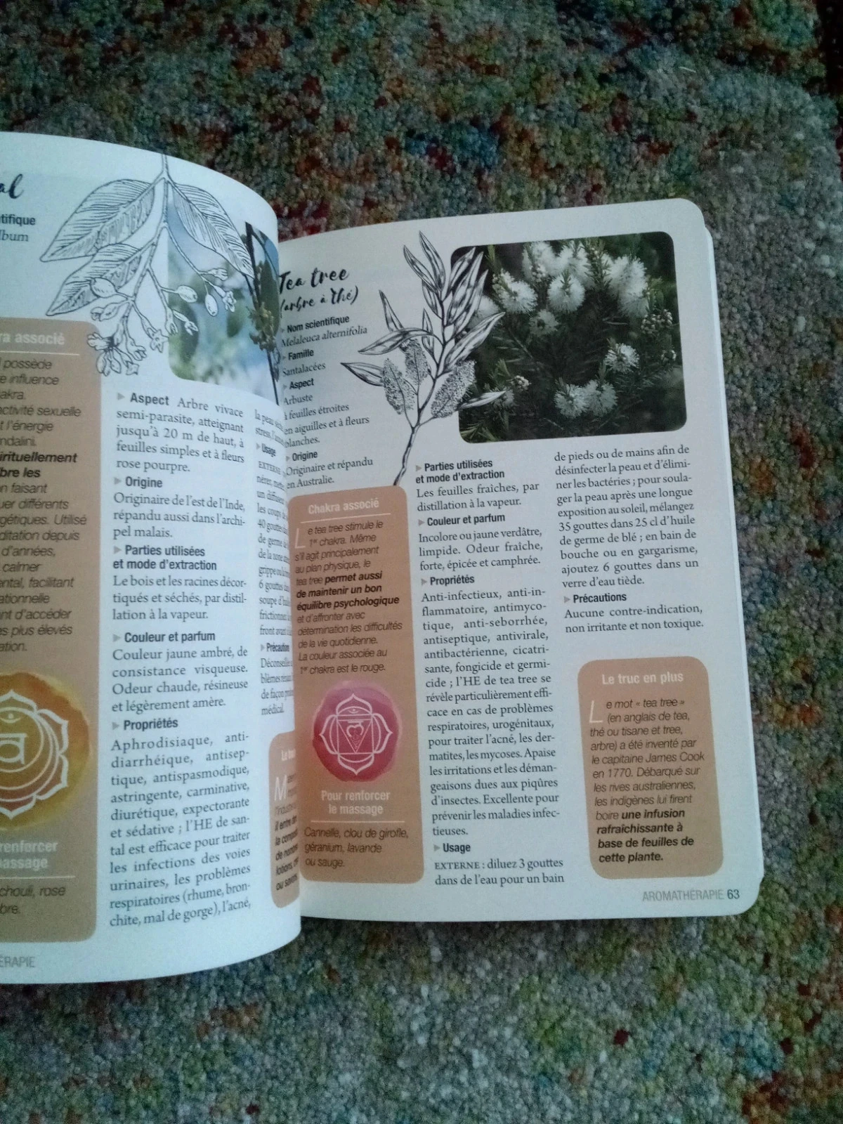 Aromatherapie aloe Vera Bach-bloesems – photo 11